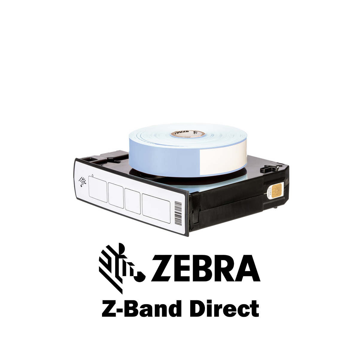 10006995-2K - Braccialetti Zebra Blu Z-Band Direct Polipropilene 