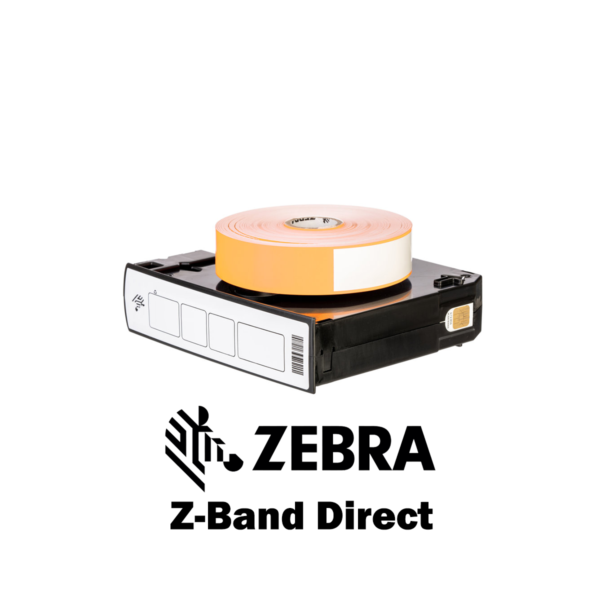 10006995-6K - Braccialetti Zebra Arancione Z-Band Direct