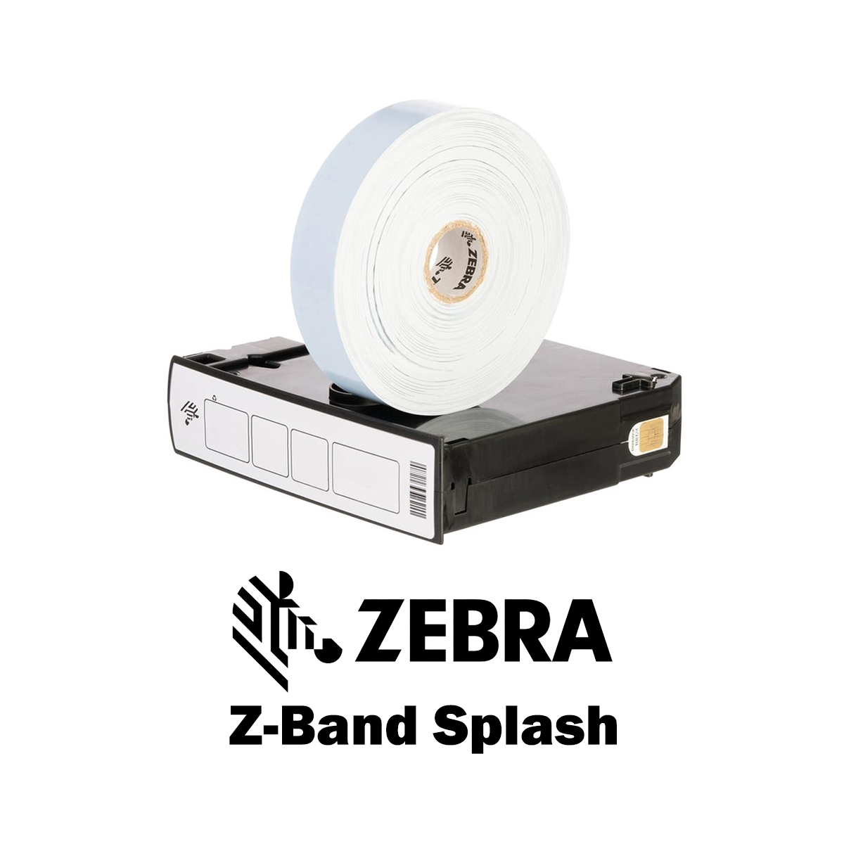 10012717-3K - Braccialetti Zebra Blu Z-Band Splash Polipropilene 