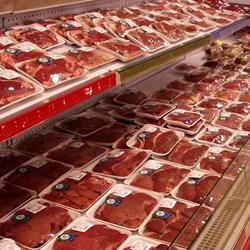 Etichettatura delle Carni: Materiali, Tracciabilità e Requisiti Tecnici nella Filiera Alimentare. Parte 2
